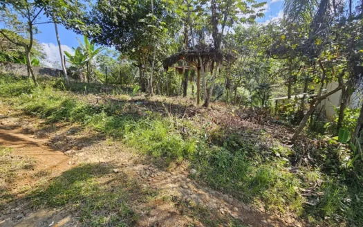 Lote a Venda com Vista para o Mar no bairro Barra do Corumbê em Paraty RJ