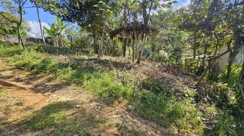 Lote a Venda com Vista para o Mar no bairro Barra do Corumbê em Paraty RJ