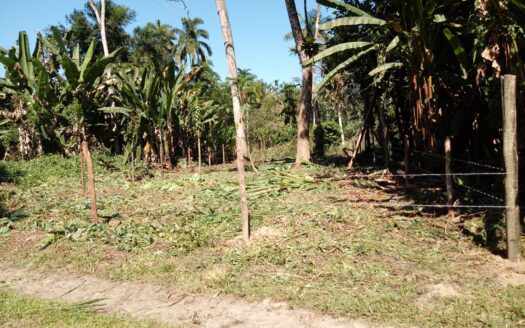 Lote a Venda com Ótima Localização no Bairro São Roque em Paraty RJ