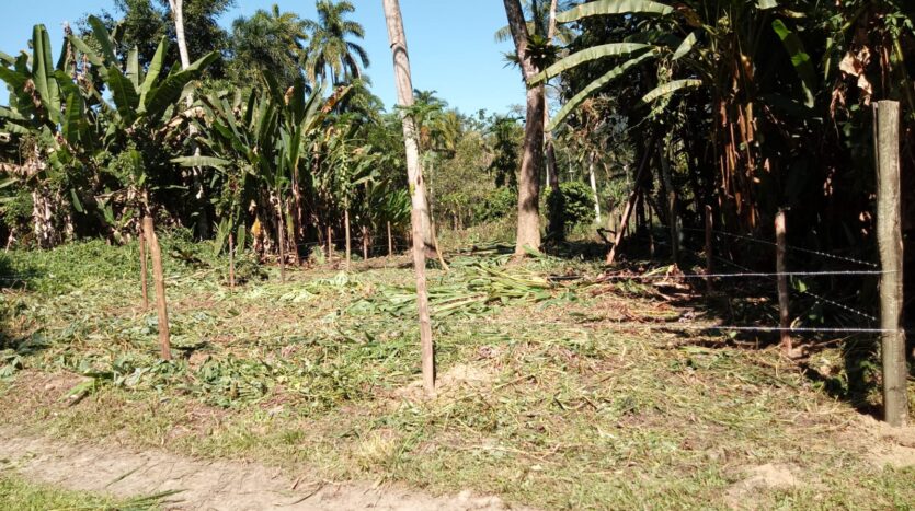 Lote a Venda com Ótima Localização no Bairro São Roque em Paraty RJ