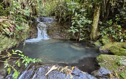 Sítio a Beira da Cachoeira a Venda no Bairro Barra Grande