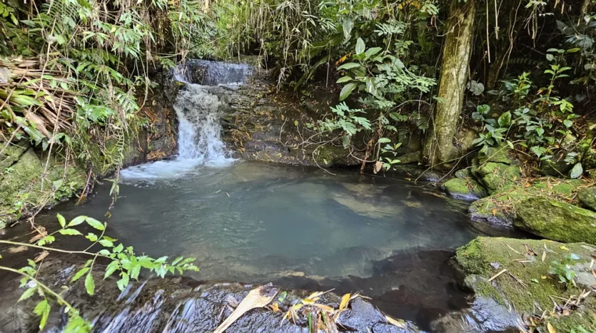 Sítio a Beira da Cachoeira a Venda no Bairro Barra Grande