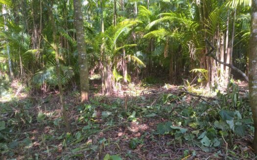 Terreno Amplo a Venda no Bairro Córrego dos Micos em Paraty RJ