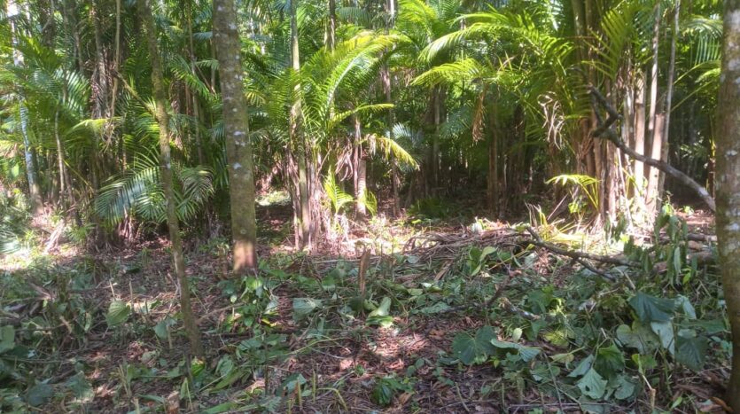 Terreno Amplo a Venda no Bairro Córrego dos Micos em Paraty RJ