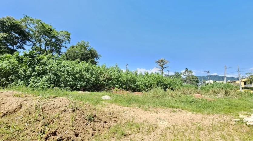 Lotes a Venda no Bairro Caborê Com Ótima Localização