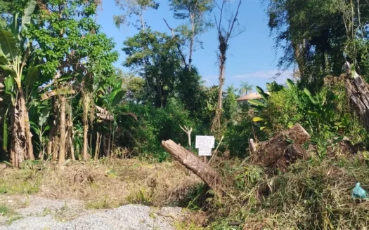 Fração a Venda no Bairro Areal do Taquari em Paraty RJ