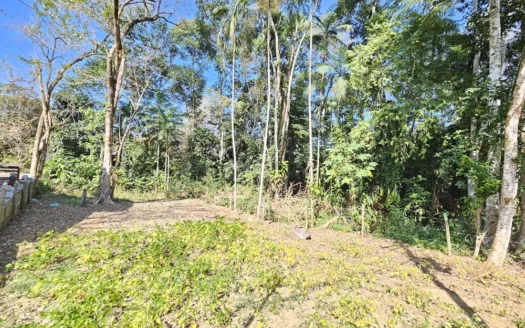 Lotes a Venda no Penha Próximo a Cachoeira