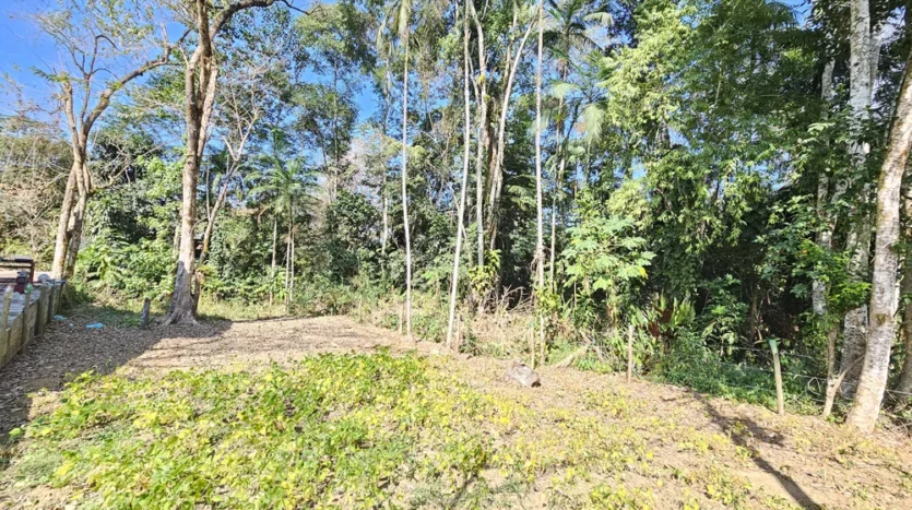 Lotes a Venda no Penha Próximo a Cachoeira