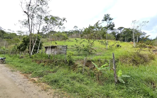 Terreno a Venda na Avenida Principal do Córrego dos Micos com Ótima Localização