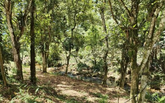 Chácara a Venda no Bairro Barra Grande em Paraty RJ