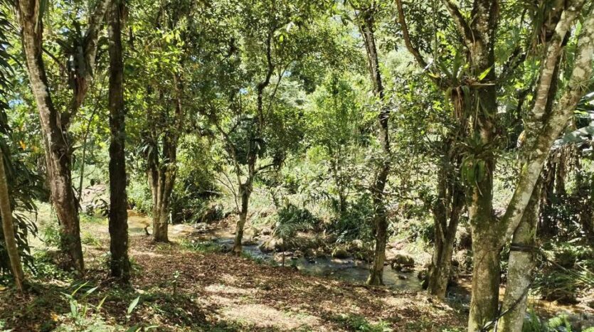 Chácara a Venda no Bairro Barra Grande em Paraty RJ