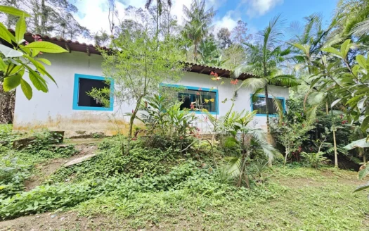 Chácara Estilo Colonial Frente Pra Cachoeira Bairro Penha