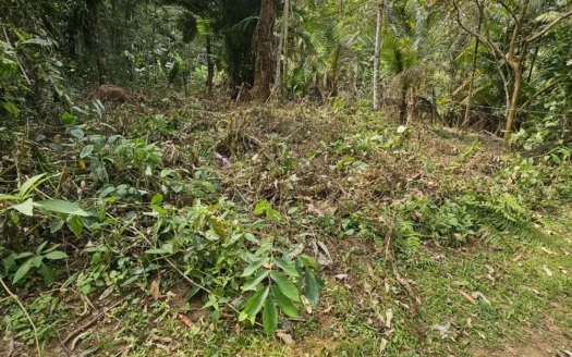 Fração Venda Bairro Sertão Taquari Frente Cachoeira