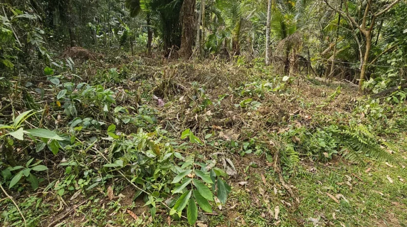 Fração Venda Bairro Sertão Taquari Frente Cachoeira