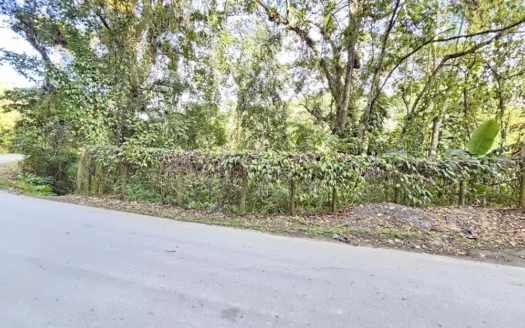 Lote Com Fundos Pra Cachoeira a Venda no Bairro Corisquinho em Paraty RJ