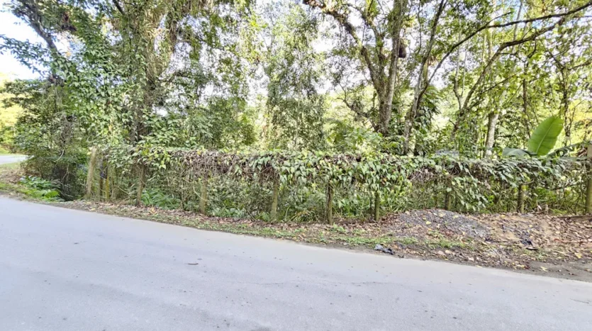 Lote Com Fundos Pra Cachoeira a Venda no Bairro Corisquinho em Paraty RJ