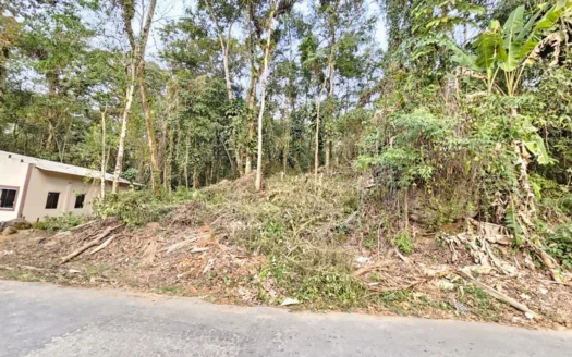 Lote Fundos com Riacho no Bairro Corisquinho-Paraty