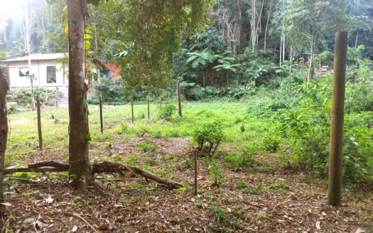 Lote Com Frente Para Riacho no Bairro Novo Horizonte em Paraty RJ