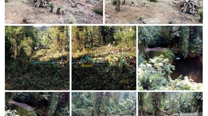 Lote com Fundos Pra Cachoeira no Bairro Areal do Taquari