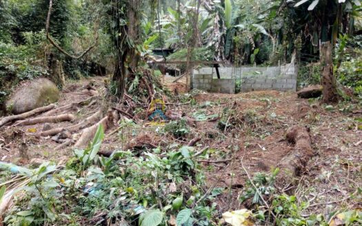 Lote com Fundos Pra Cachoeira no Bairro Areal do Taquari