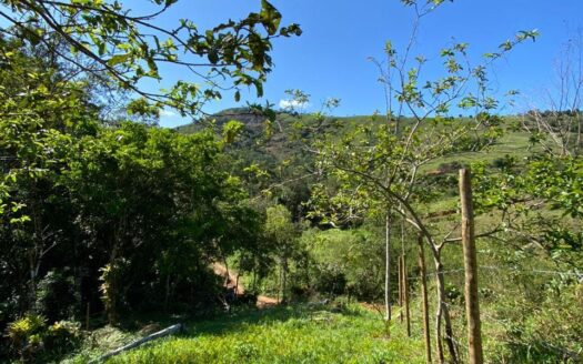 Lote a Venda no Bairro Ponte Branca em Paraty RJ