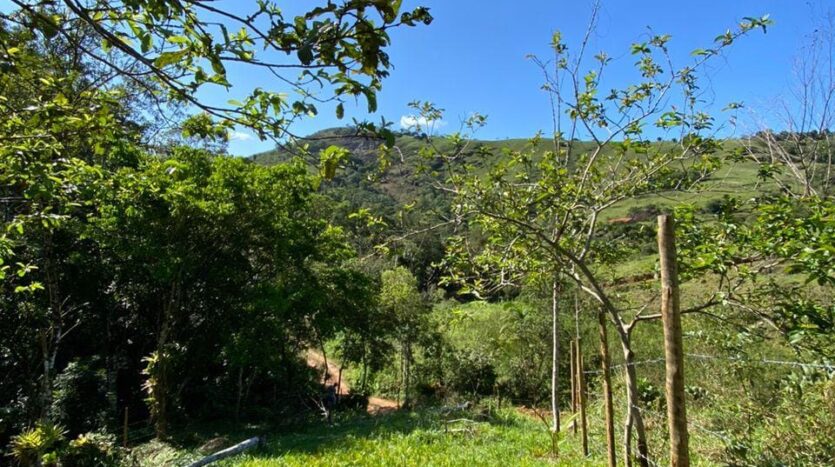Lote a Venda no Bairro Ponte Branca em Paraty RJ