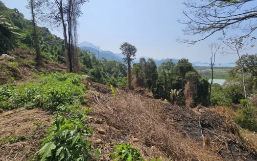 Lotes a Venda no Bairro Sertão do Taquari Vista Mar