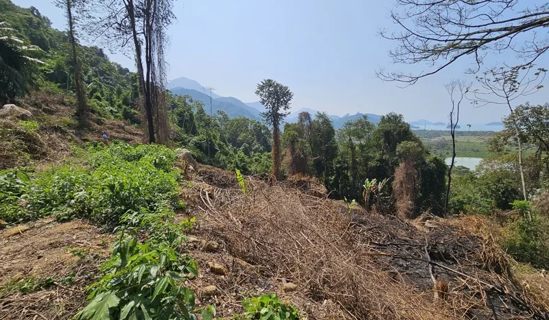 Lotes a Venda no Bairro Sertão do Taquari Vista Mar